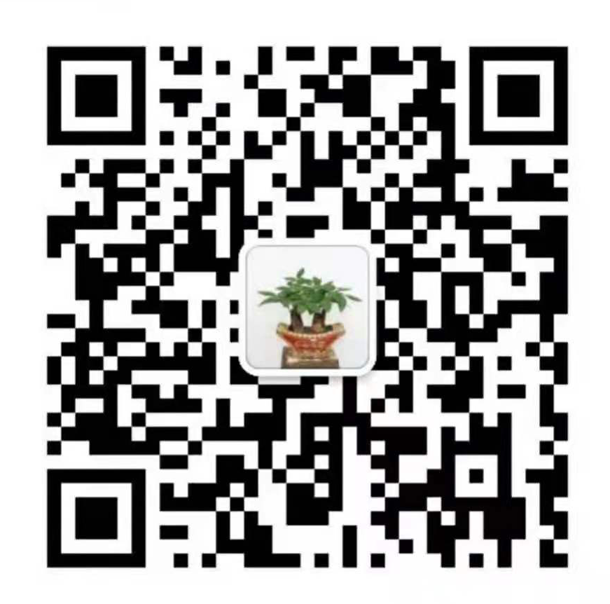微信咨詢